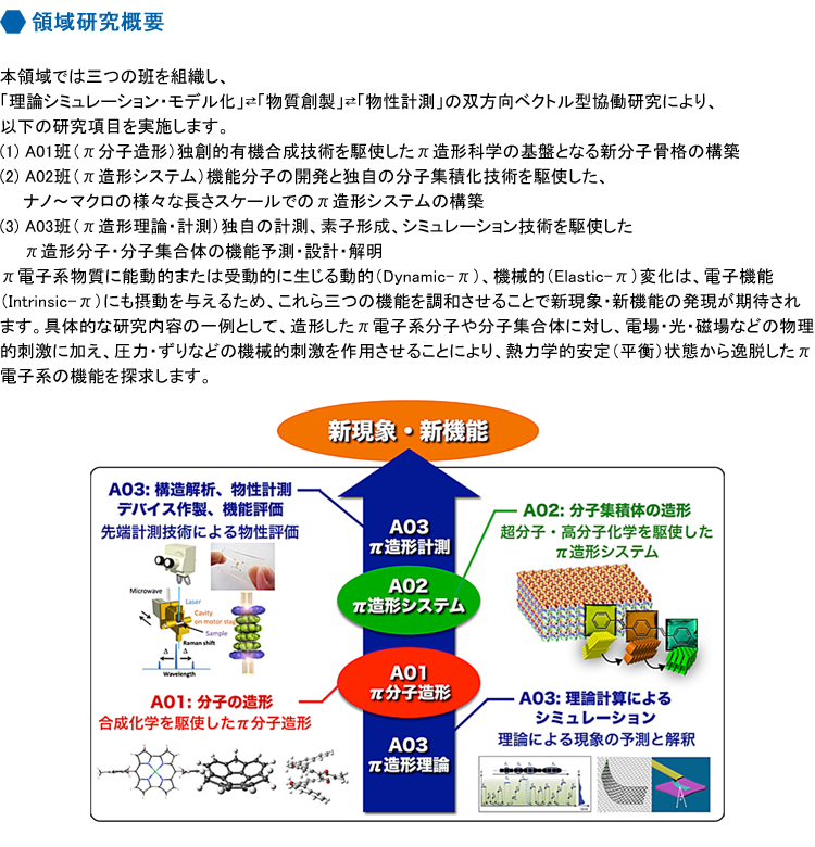 領域研究概要